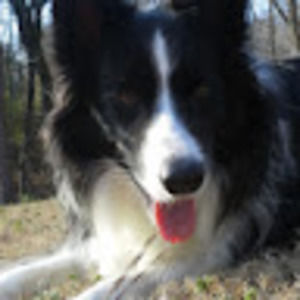 Meet your Posher, Elena